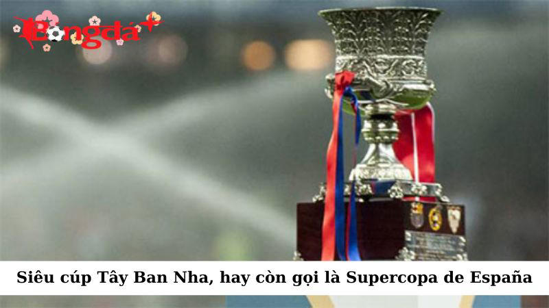 Siêu cúp Tây Ban Nha (Supercopa de España) là một giải đấu thường niên của quốc gia này