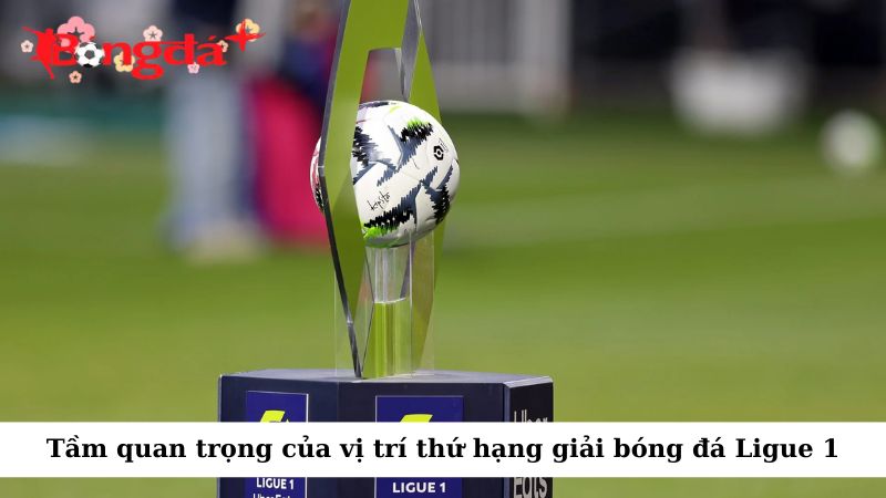Tìm hiểu tầm quan trọng của vị trí thứ hạng giải bóng đá Ligue 1