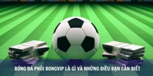 Bóng Đá Phủi Bongvip Là Gì Và Những Điều Bạn Cần Biết